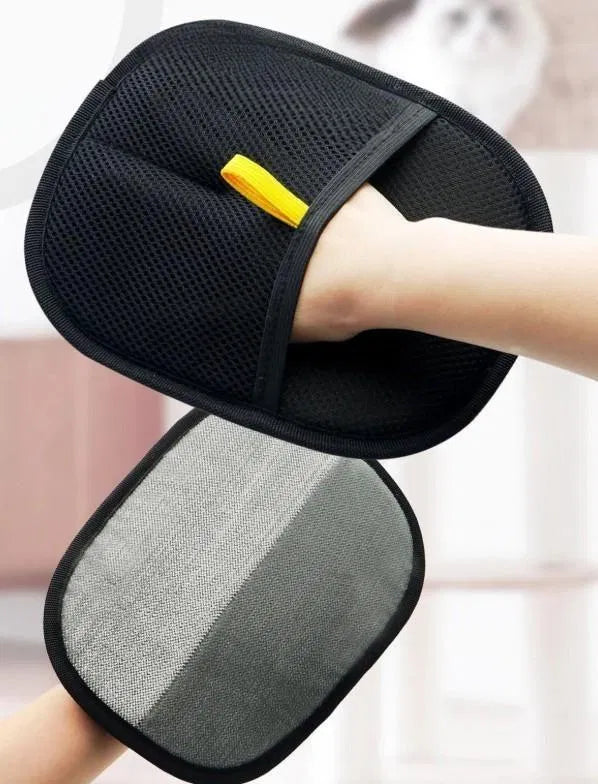 Control Pet Hair in Minutes Without Stressing Your Pet 🐾