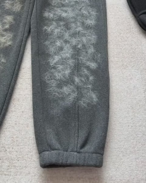 Control Pet Hair in Minutes Without Stressing Your Pet 🐾